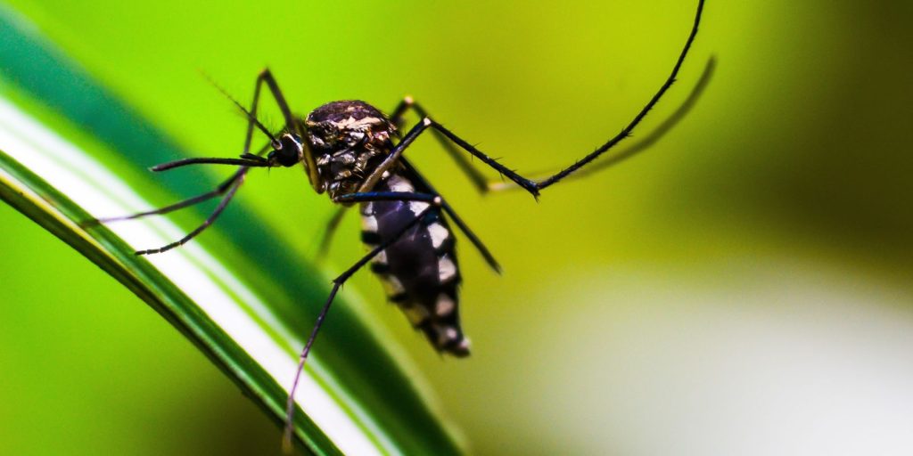 sp:-desigualdade-na-saude-concentra-nas-zonas-norte-e-leste