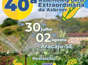 WhatsApp-Image-2025-07-30-at-08.49.48