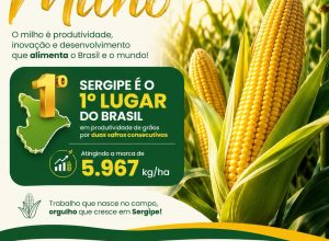 agricultura_se emdagro.se_798992347