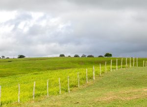 clima
