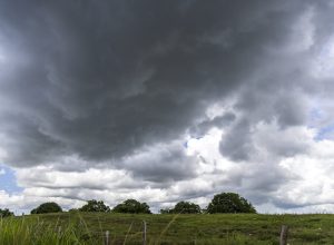 e76bdc3b9e0e7a8f5e70e4f806f5ab1b