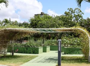 jardim-sensorial-ronald-almeida-1-eoLU13sx