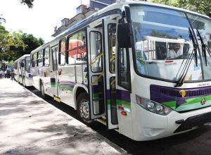 onibus