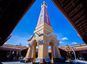 phpThumb_generated_thumbnail (15)