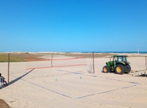 phpThumb_generated_thumbnail (15)