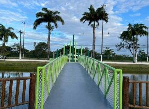 phpThumb_generated_thumbnail (44)