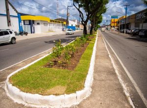 phpThumb_generated_thumbnail (53)