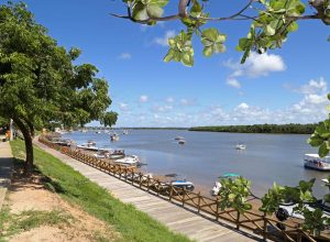 phpThumb_generated_thumbnail (64)