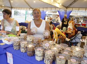 slide_270cc009732f8364f17faaafd980006d