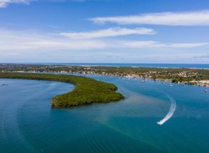 slide_2ad10dcf61093061ebc71a5b96e08c76