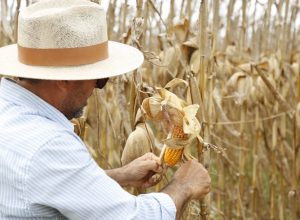 slide_39c3992b8d1760696d4f3b45a111dc5b