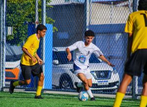 slide_4003285adb719b21ca497d2b221b1d3f