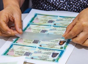 slide_5095725528bdce9427116a46a6c5e38c