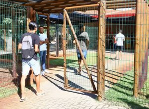 slide_53b770846eddc94e27abd9a59a329cfc (1)