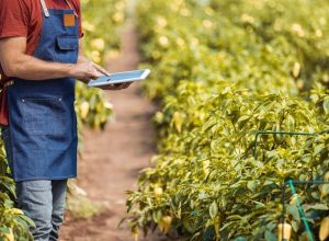 whatsapp-image-2022-10-20-at-15.51.28